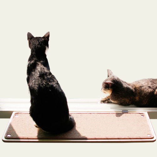 [뽀떼] 고양이 냥반1 윈도우 창문 창틀 캣선반 고양이선반 캣타워 캣워커 해먹